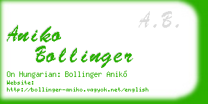 aniko bollinger business card